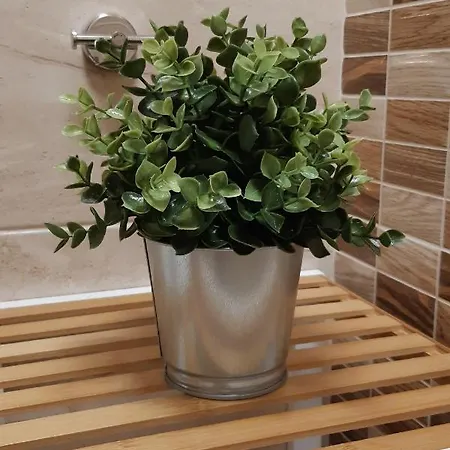 адикт * Sozopol