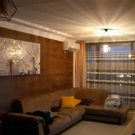 адикт * 소조폴