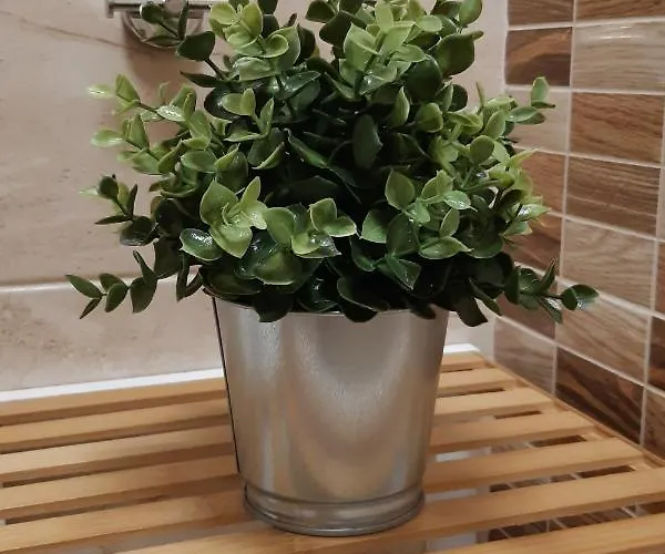 адикт * Sozopol